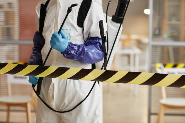 Professional Sewage Cleanup technician working in Rocky Ridge, MD