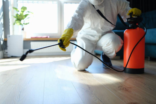 Reliable Sewage Cleanup contractor in Rocky Ridge, MD by Dulley Family Biohazard Services